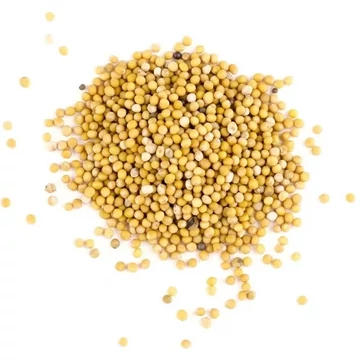 Safi Reform Paleo horčičné semienko celé 50 g (bez lepku)